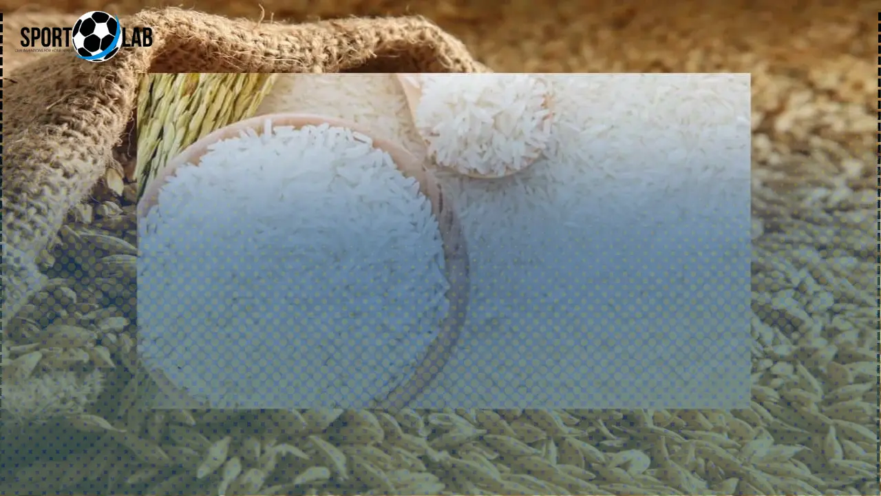 سعر طن الأرز الشعير والأبيض اليوم يشهد استقرارًا وسط متابعة وزارة الزراعة